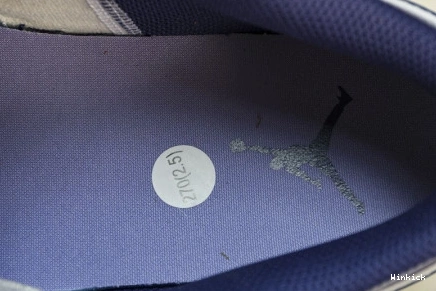 “Covered Jordan Tones” Low 1 Purple 553558-515 0731